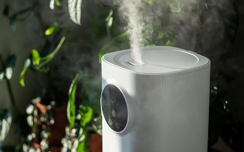 Small humidifier in house