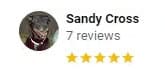 Google reviewer 3